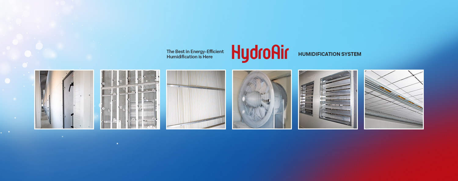 When You Excel, We Excel.